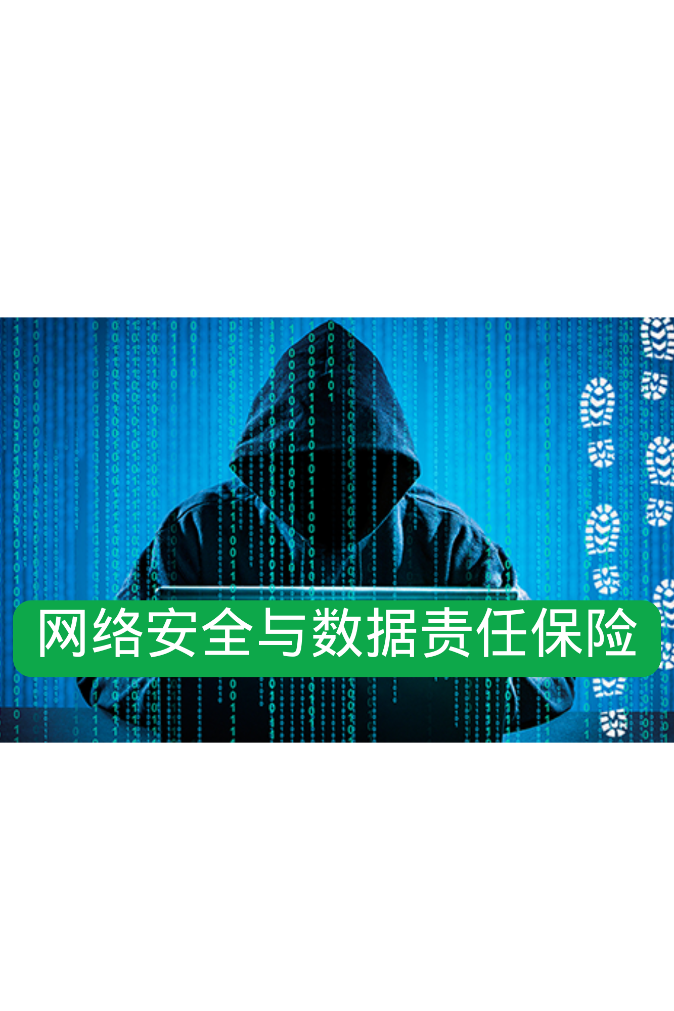 网络安全与数据责任保险